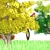 Animated Stylized Tree Pack 3D model small image 2