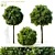 Green Dwarf Quercus Palustris Tree 3D model small image 1