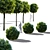 Green Dwarf Quercus Palustris Tree 3D model small image 2