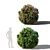 Green Dwarf Quercus Palustris Tree 3D model small image 4
