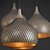 Interchangeable Organic Pendant Light 3D model small image 2