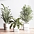 Modern Indoor Plant Set 3D 3D model small image 7