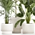 Tropical Plant Collection in White Pots 3D model small image 2