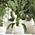 Tropical Plant Collection in White Pots 3D model small image 4