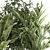 Tropical Plant Collection in White Pots 3D model small image 5