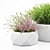 Vray Render Outdoor Plant 3D 3D model small image 2