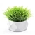 Vray Render Outdoor Plant 3D 3D model small image 7