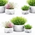 Vray Render Outdoor Plant 3D 3D model small image 14