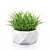 Vray Render Outdoor Plant 3D 3D model small image 17