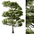 Bonsai Tree Set, Oriental Design 3D model small image 2