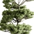 Bonsai Tree Set, Oriental Design 3D model small image 3