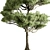 Bonsai Tree Set, Oriental Design 3D model small image 4