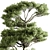 Bonsai Tree Set, Oriental Design 3D model small image 5