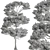 Bonsai Tree Set, Oriental Design 3D model small image 6