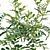 Versatile 3D Plant Modeling Collection 3D model small image 3