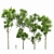 Forest Tree 3D Models Set 3D model small image 1