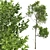 Forest Tree 3D Models Set 3D model small image 3