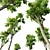 Forest Tree 3D Models Set 3D model small image 4