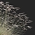 Elegant Decorative Ornamental Grass 3D model small image 7