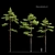 Scots Pine 3-tree Models 3D model small image 1