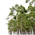 Scots Pine 3-tree Models 3D model small image 3