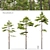 Scots Pine 3-tree Models 3D model small image 7