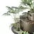 Tree and Bush Garden Box Outdoor 3D model small image 2