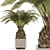 Sago Palm Set Indoor Decor 3D model small image 7