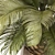 Sago Palm Set Indoor Decor 3D model small image 3