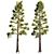  Tall Pinus 7 Tree Model 3D model small image 1