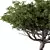 Contemporary Acacia Tree Sculpture 3D model small image 2