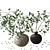 3D Branches in Vase Model 3D model small image 6