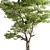 Hackberries Tree Set 257: Grow Your Garden's Charm 3D model small image 2