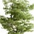 Hackberries Tree Set 257: Grow Your Garden's Charm 3D model small image 3