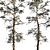 Winter Pine Trees in Snow 3D model small image 3