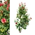 Three Rose Bushes with Varieties 3D model small image 5