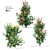 Three Rose Bushes with Varieties 3D model small image 8