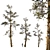 Snowy Pine Trio Display 3D model small image 1