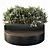 Modern Green Plant Bench Set 3D model small image 1