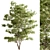 Plush Velvet Ash Tree Set 3D model small image 1