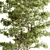 Plush Velvet Ash Tree Set 3D model small image 2