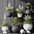 Yucca Plant Vase Set Outdoor 3D model small image 2