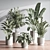  Modern Indoor Plant Set 3D model small image 2