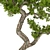 Max 2015 Bonsai Set UV Unwrap 3D model small image 4