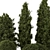 Outdoor Pine Tree Bush Model 3D model small image 3