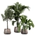 Stylish Indoor Plant 3D Model 3D model small image 1