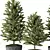 Evergreen Indoor Pine Tree No.69 3D model small image 2