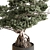 Zen Bonsai Plant - Indoor 3D model small image 2