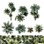  Assorted Succulent Plants Set 3D model small image 1