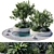 24-Piece Outdoor Plant Set 3D model small image 2